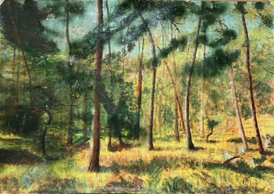 acrylic and oil painting with spray paint graffiti of a landscap typical for the Kempen region in Flanders, with pine tree and impressionistic layered brushstrokes